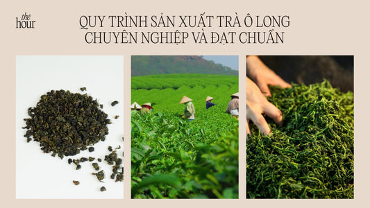 Quy trình sản xuất trà ô long chuyên nghiệp và đạt chuẩn