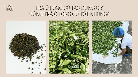 Trà ô long có tác dụng gì? Uống trà ô long có tốt không?